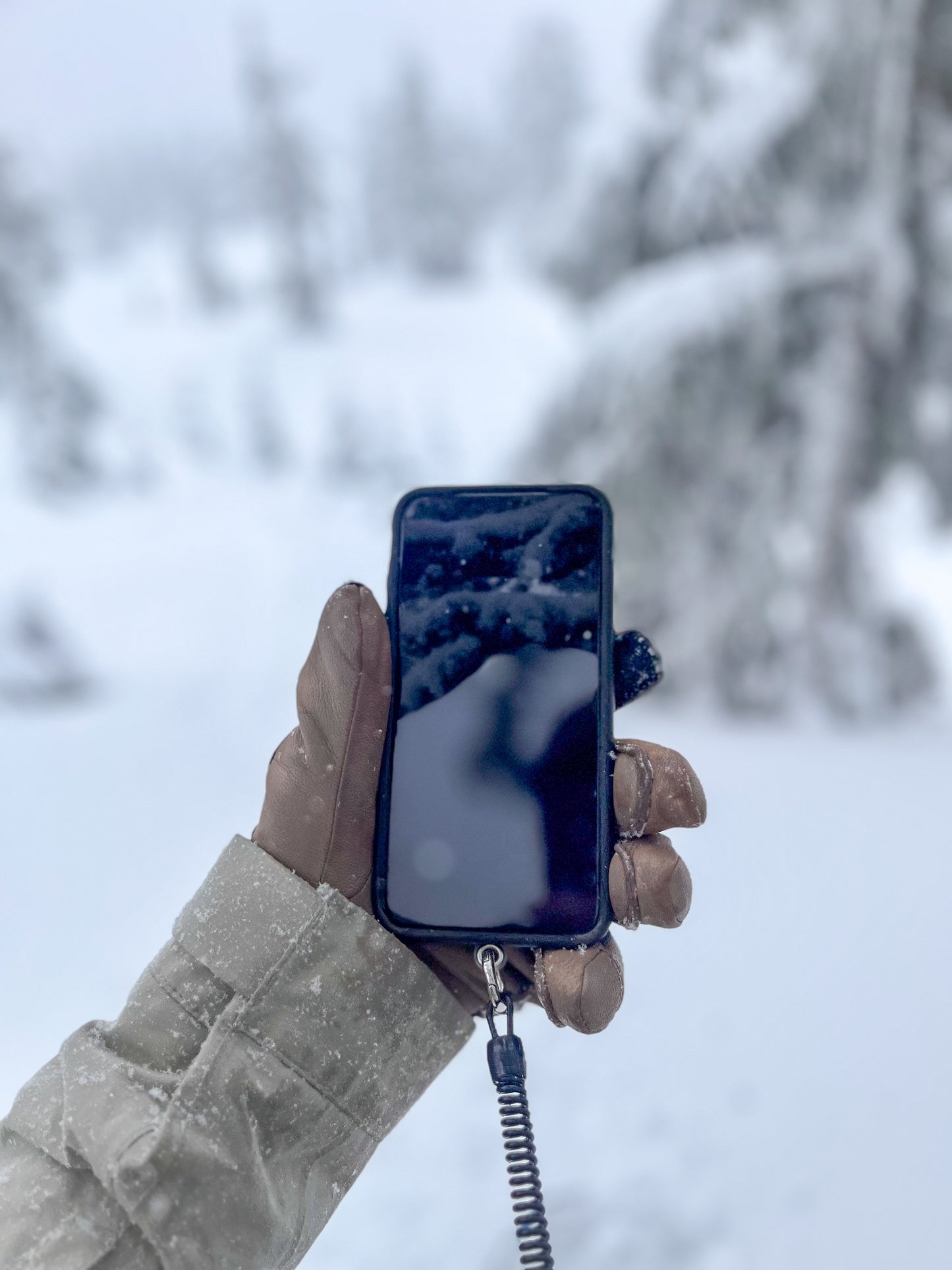 Universal Smartphone Lanyard